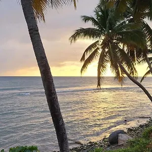  Holiday home Seaside Serenity Puerto Rico